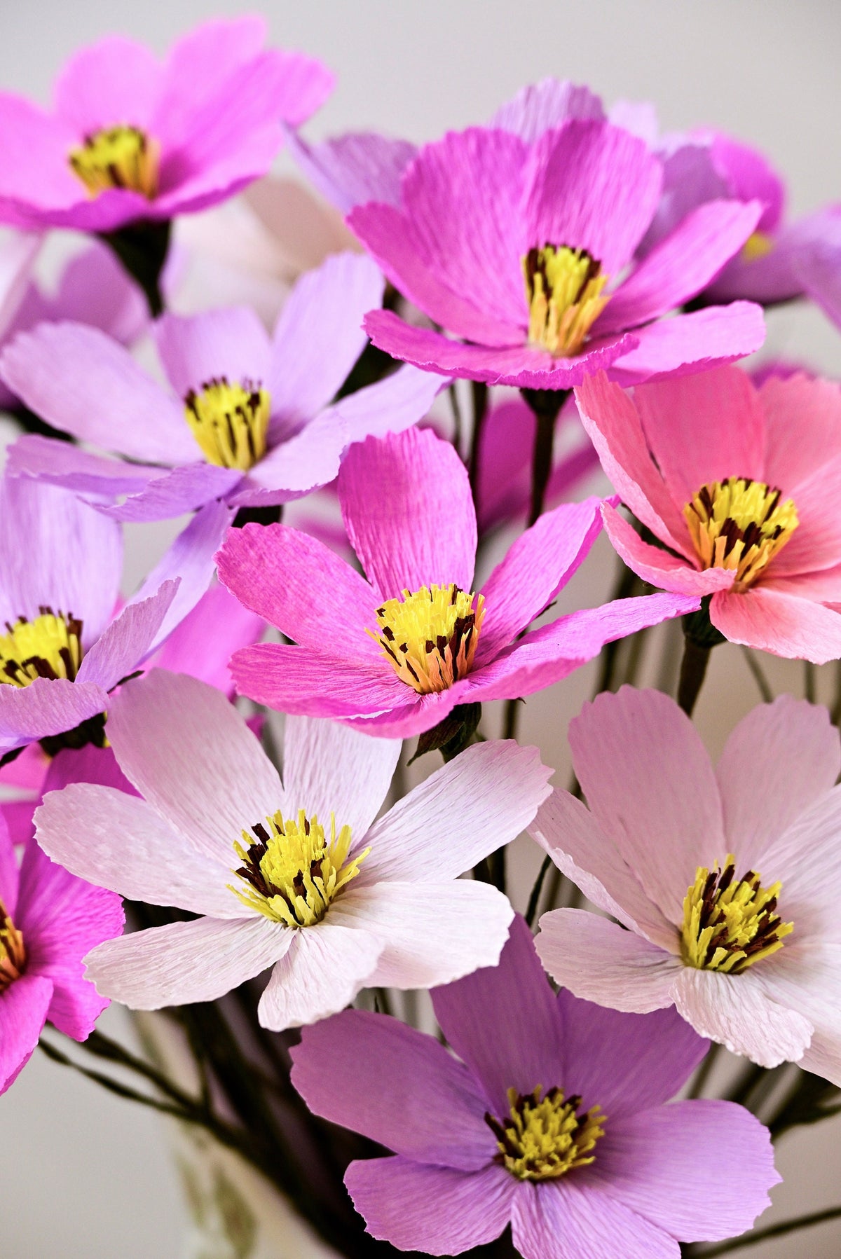 Cosmos Paper Flowers - Handmade Eco Friendly