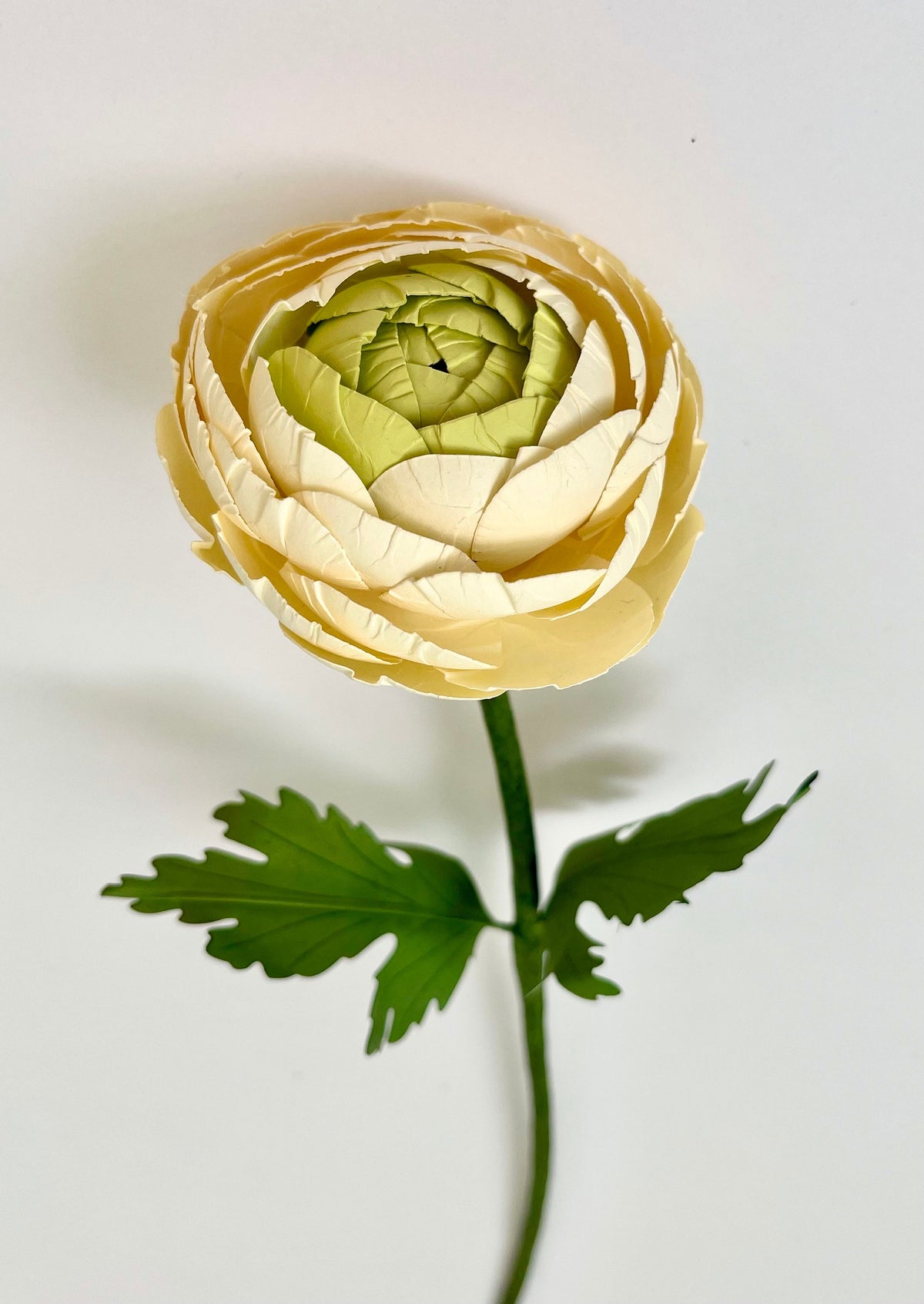 Ranunculus Paper Flowers - Handmade Eco Friendly