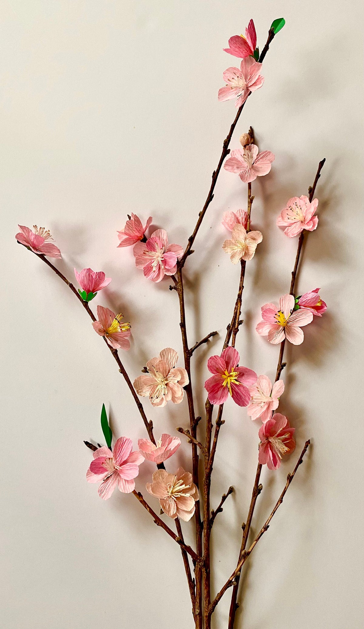 Hand Made Eco Friendly Pink Cherry Blossom on Real Stems - Hoa Đào Phai Ngày Tết - Cherry Paper Flowers