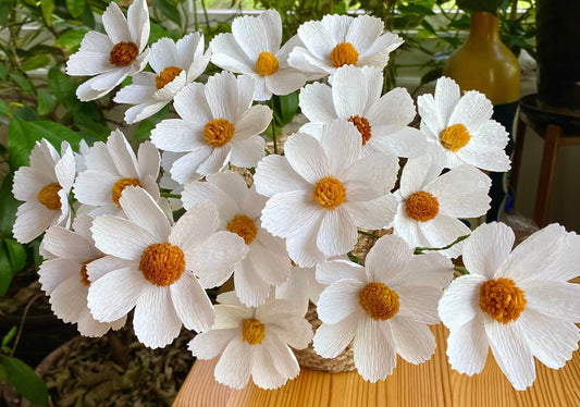 White Cosmos Paper Flowers - Handmade Eco Friendly