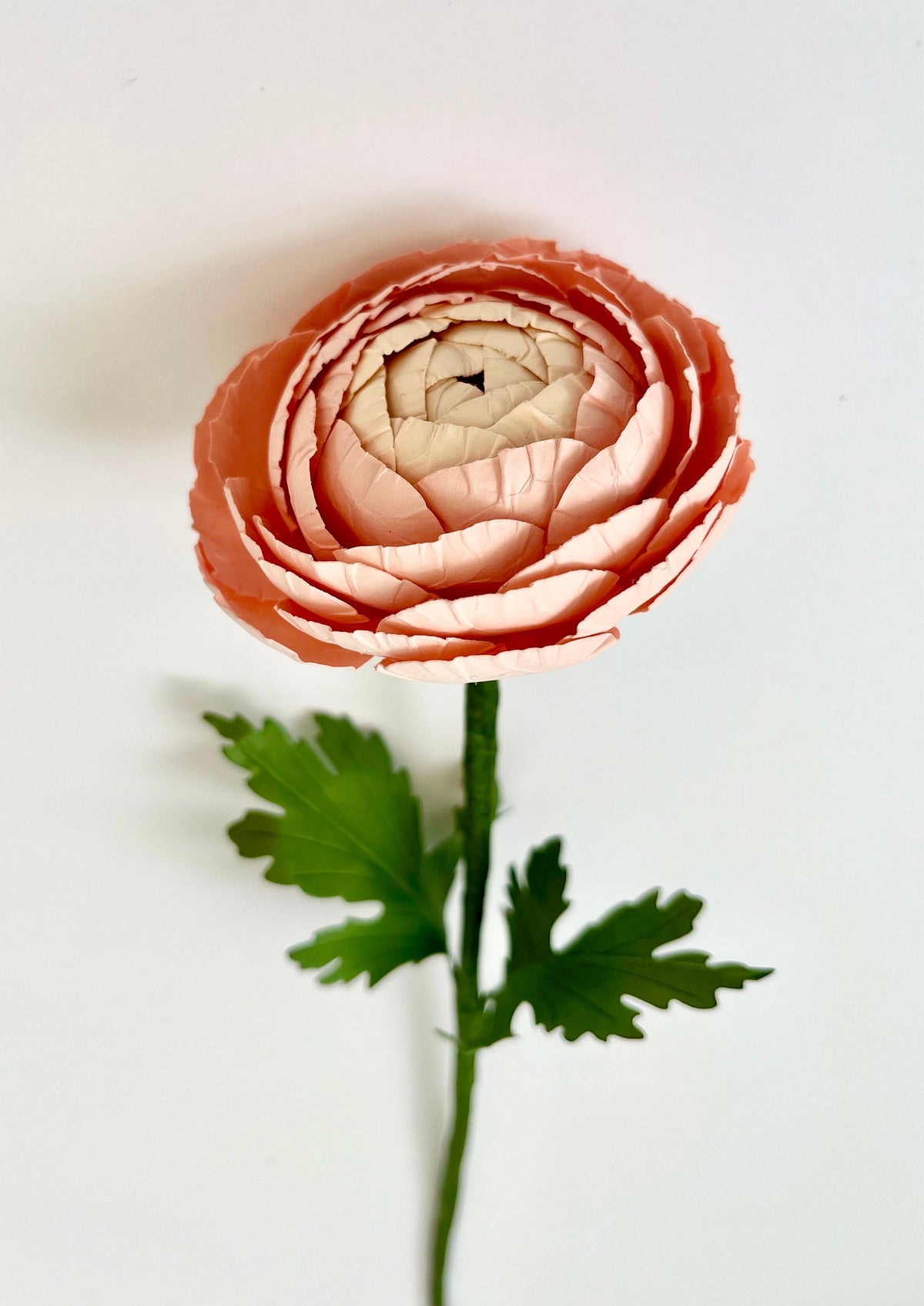 Ranunculus Paper Flowers - Handmade Eco Friendly