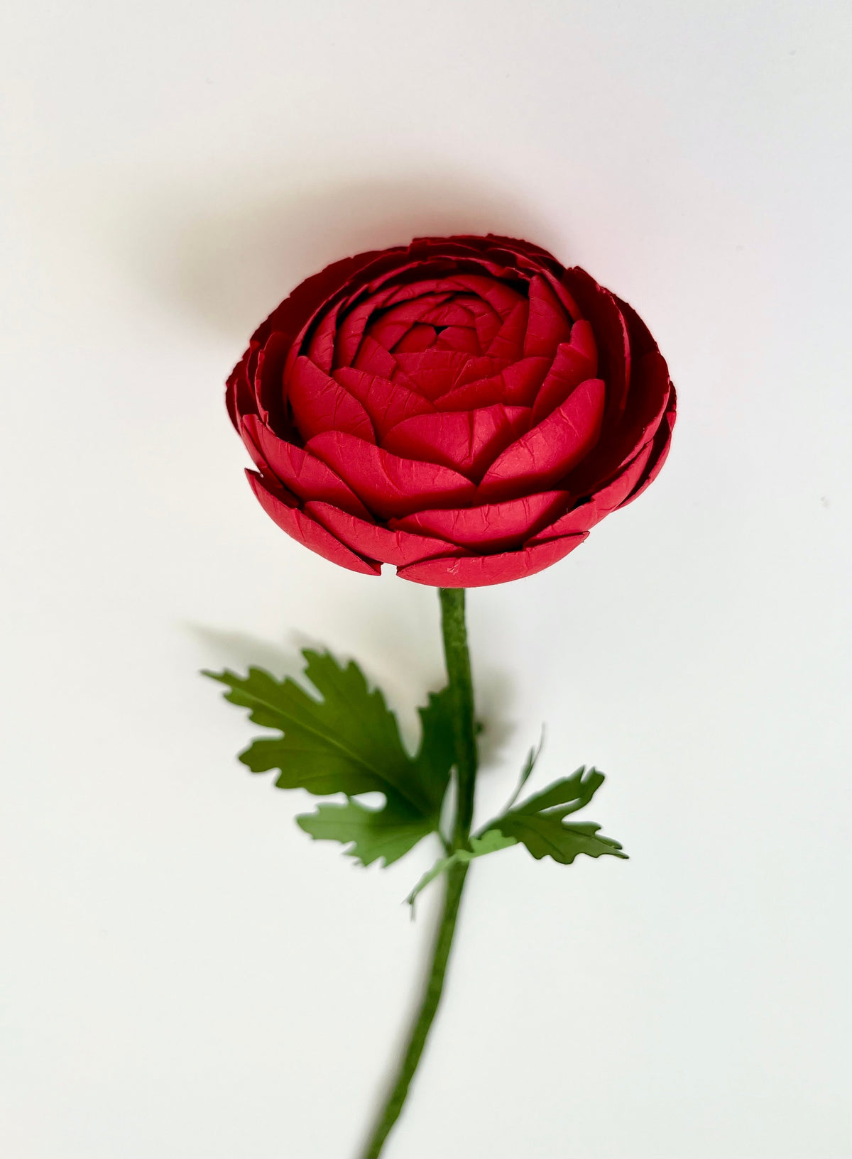 Ranunculus Paper Flowers - Handmade Eco Friendly