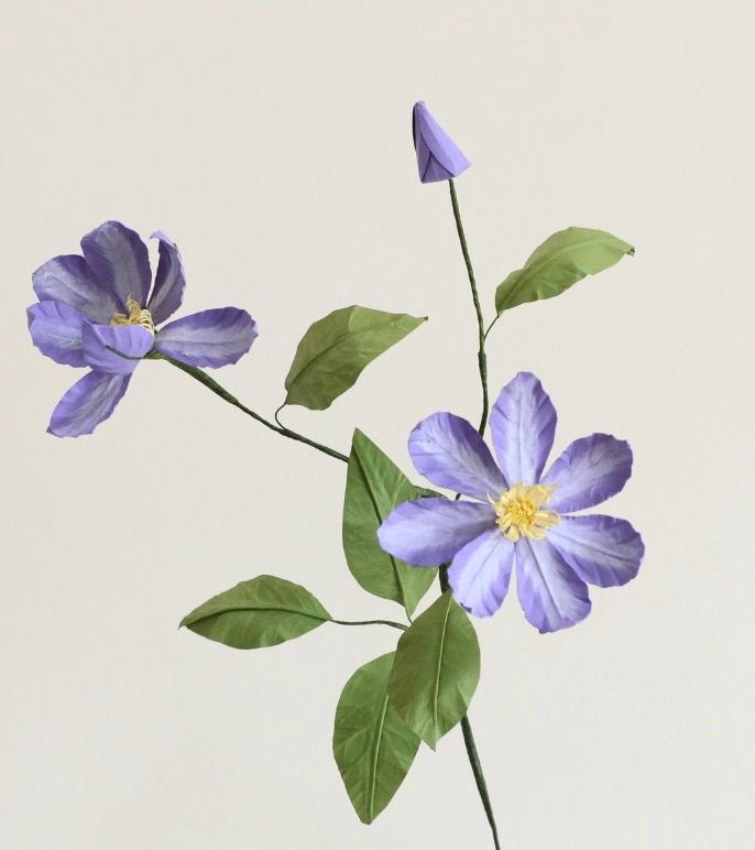 Clematis Viticelle - Purple Clematis Paper Flowers - Handmade Eco Friendly